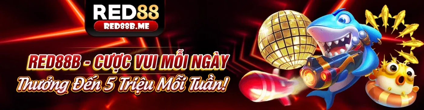 Hình ảnh minh họa việc cập nhật các điều khoản và điều kiện của ii88